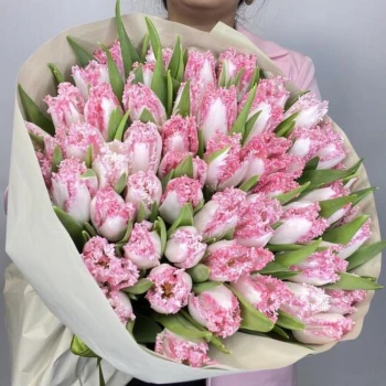 51 сәнді қызғалдақ