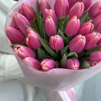 31 ашық қызғылт қызғалдақ