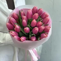 31 ашық қызғылт қызғалдақ