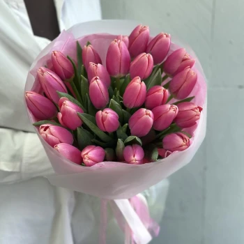 31 ашық қызғылт қызғалдақ